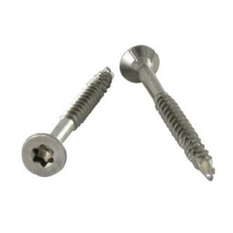2x Tornillos autorroscantes de acero inoxidable para Maxi y Mini